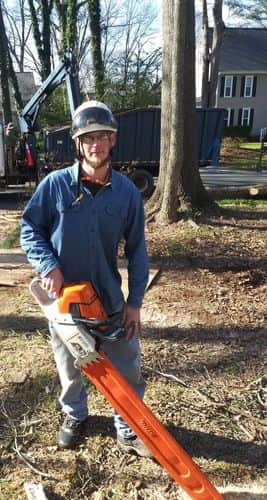 Completed tree service projects in Charlotte